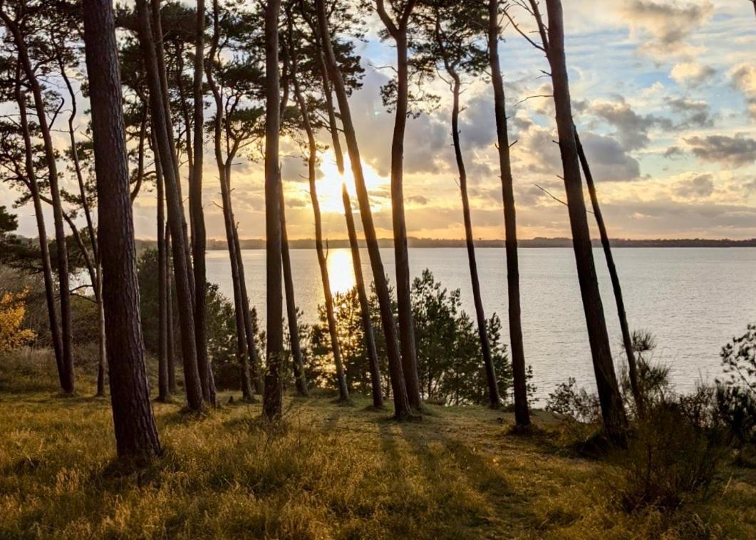 Tallskog - Dein Apartment Am Naturstrand Hohen Wieschendorf Hohenkirchen  Buitenkant foto