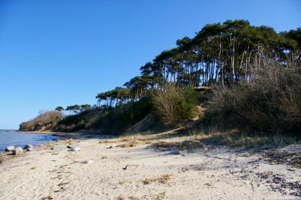 Tallskog - Dein Apartment Am Naturstrand Hohen Wieschendorf Hohenkirchen  Buitenkant foto