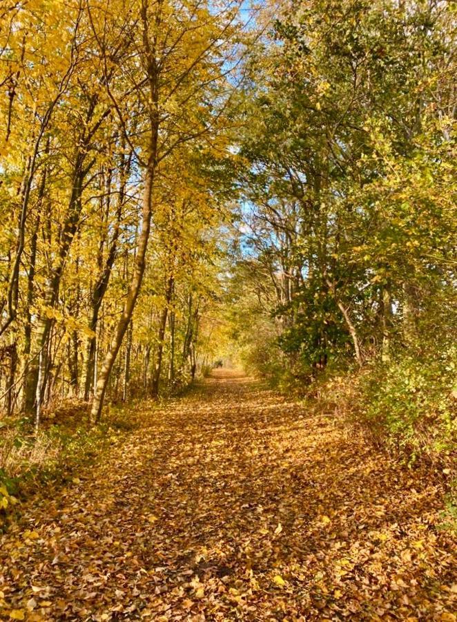 Tallskog - Dein Apartment Am Naturstrand Hohen Wieschendorf Hohenkirchen  Buitenkant foto