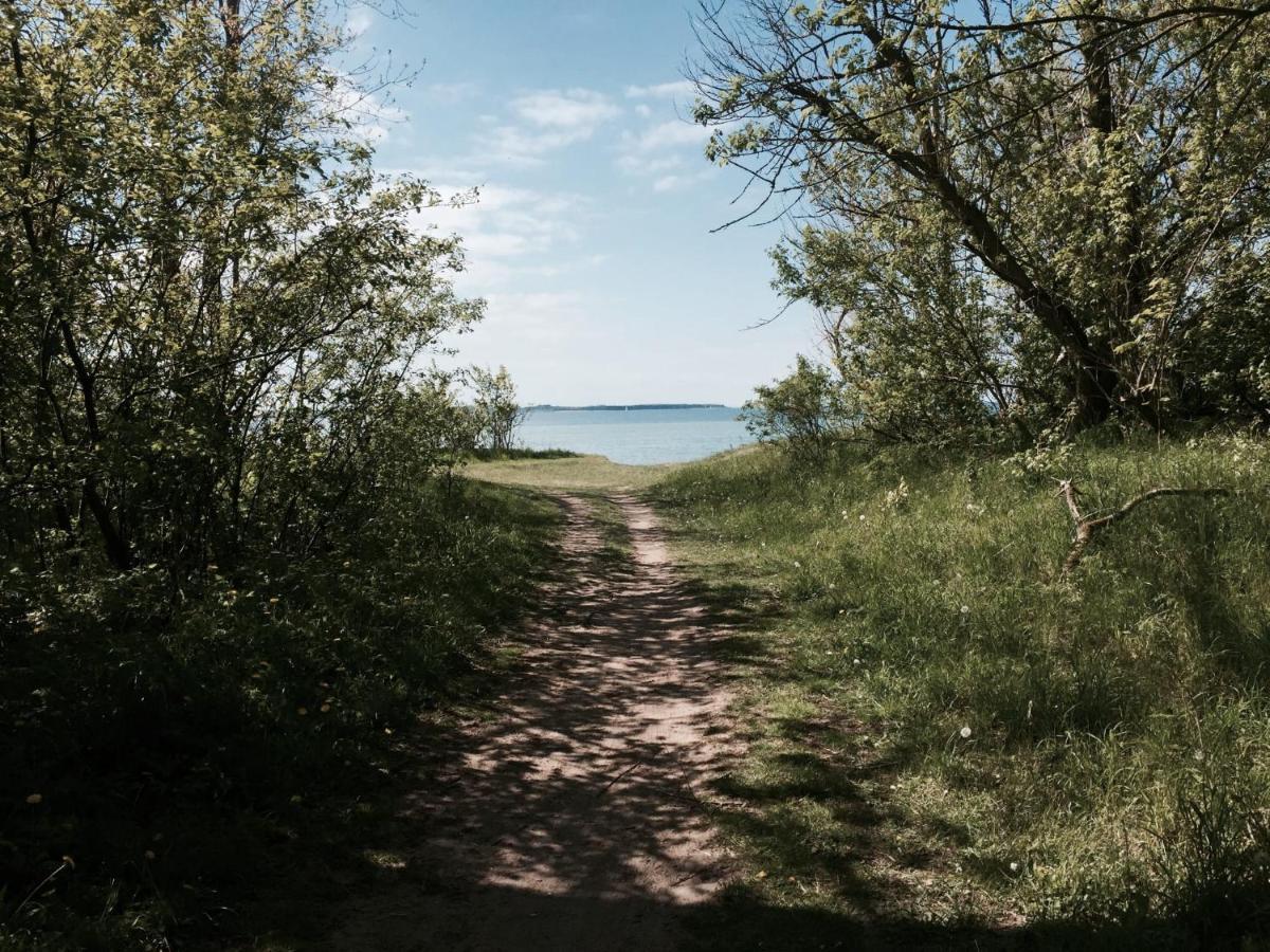 Tallskog - Dein Apartment Am Naturstrand Hohen Wieschendorf Hohenkirchen  Buitenkant foto
