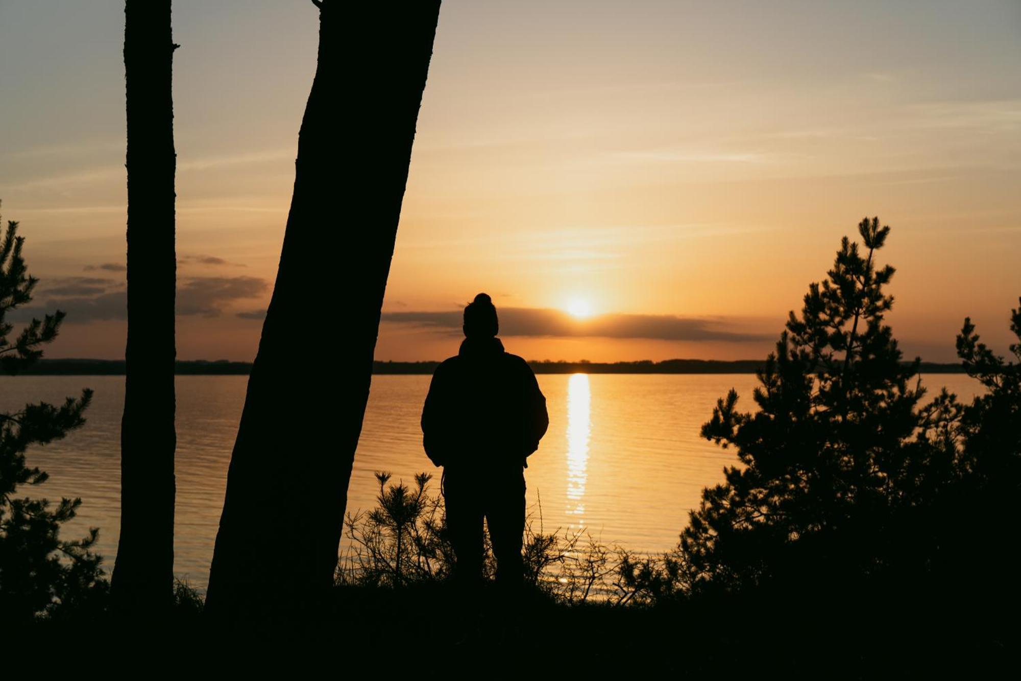 Tallskog - Dein Apartment Am Naturstrand Hohen Wieschendorf Hohenkirchen  Buitenkant foto